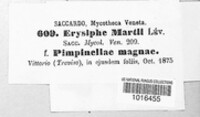 Erysiphe martii image